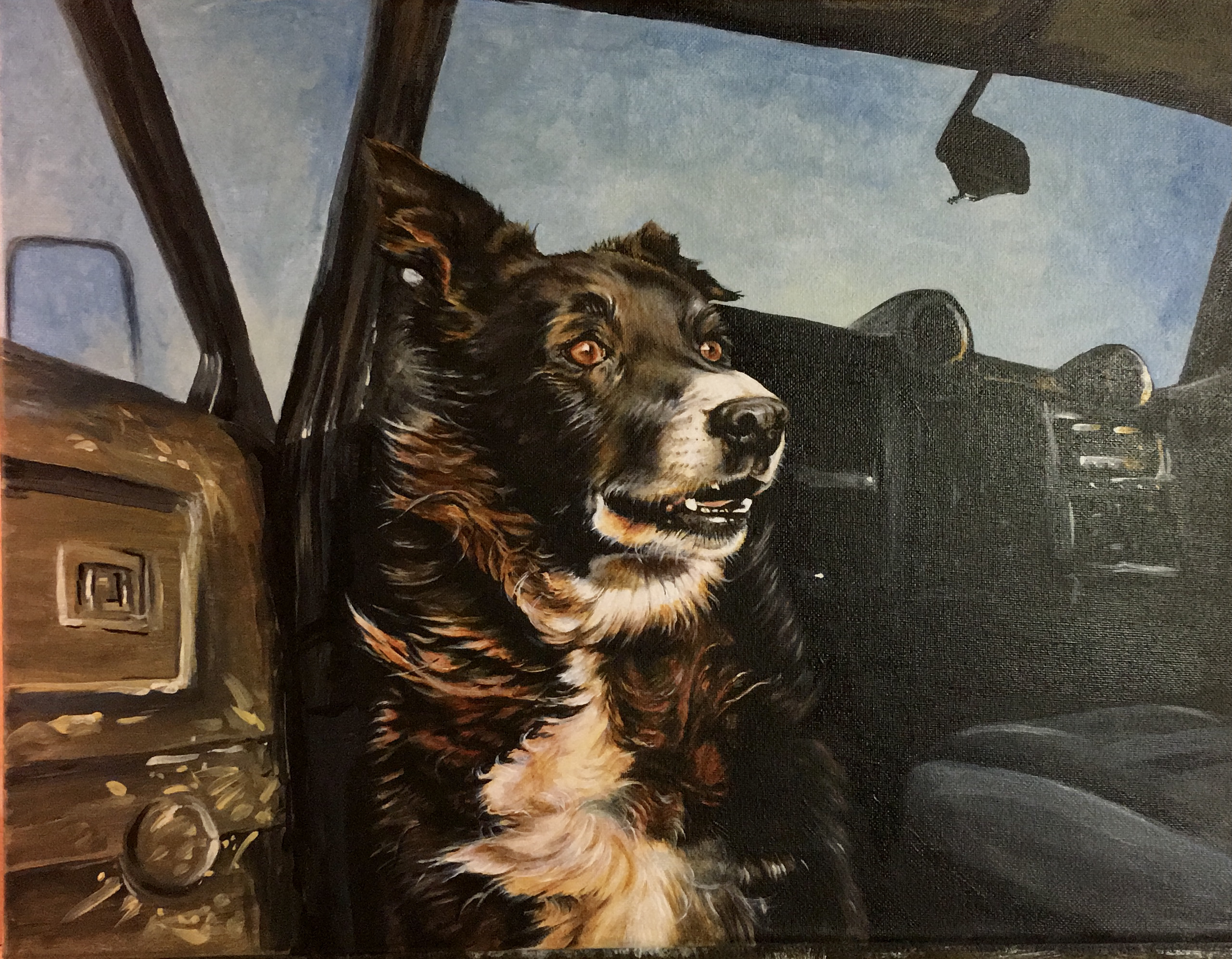 Taz, waiting to go