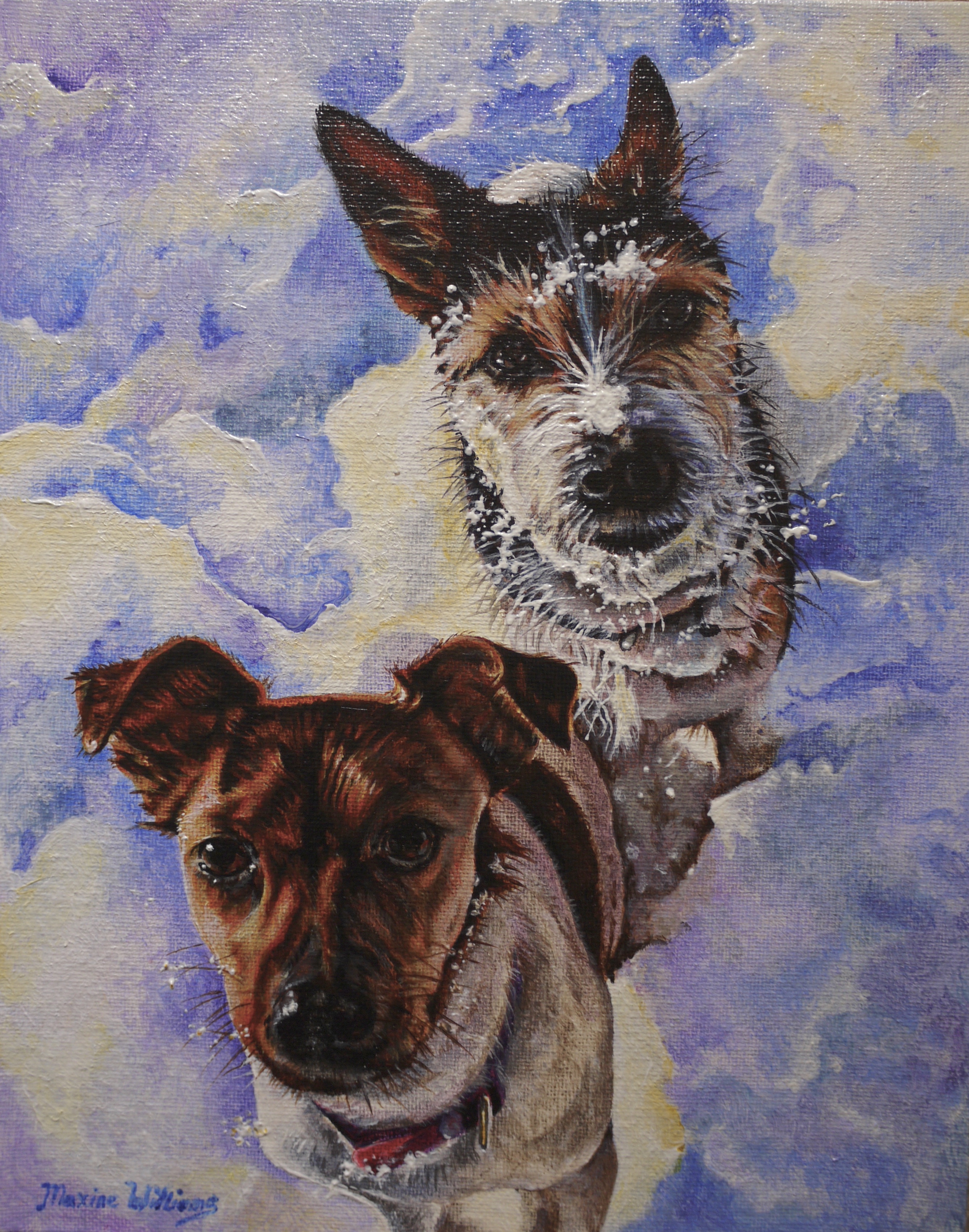 Snow-dogs
