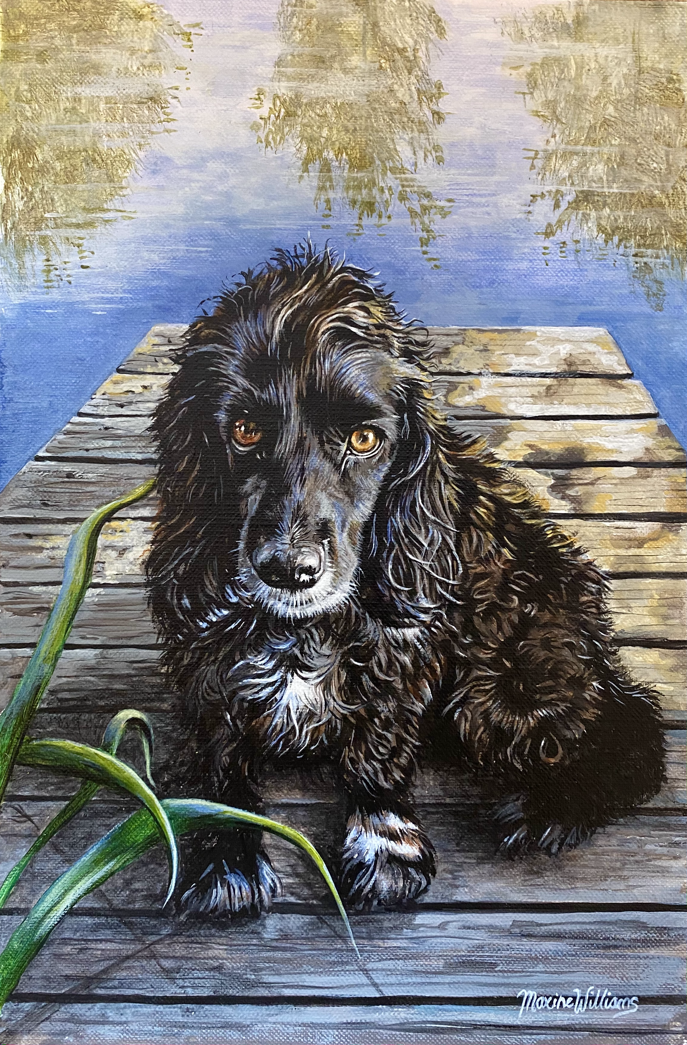 Bertie by the lake