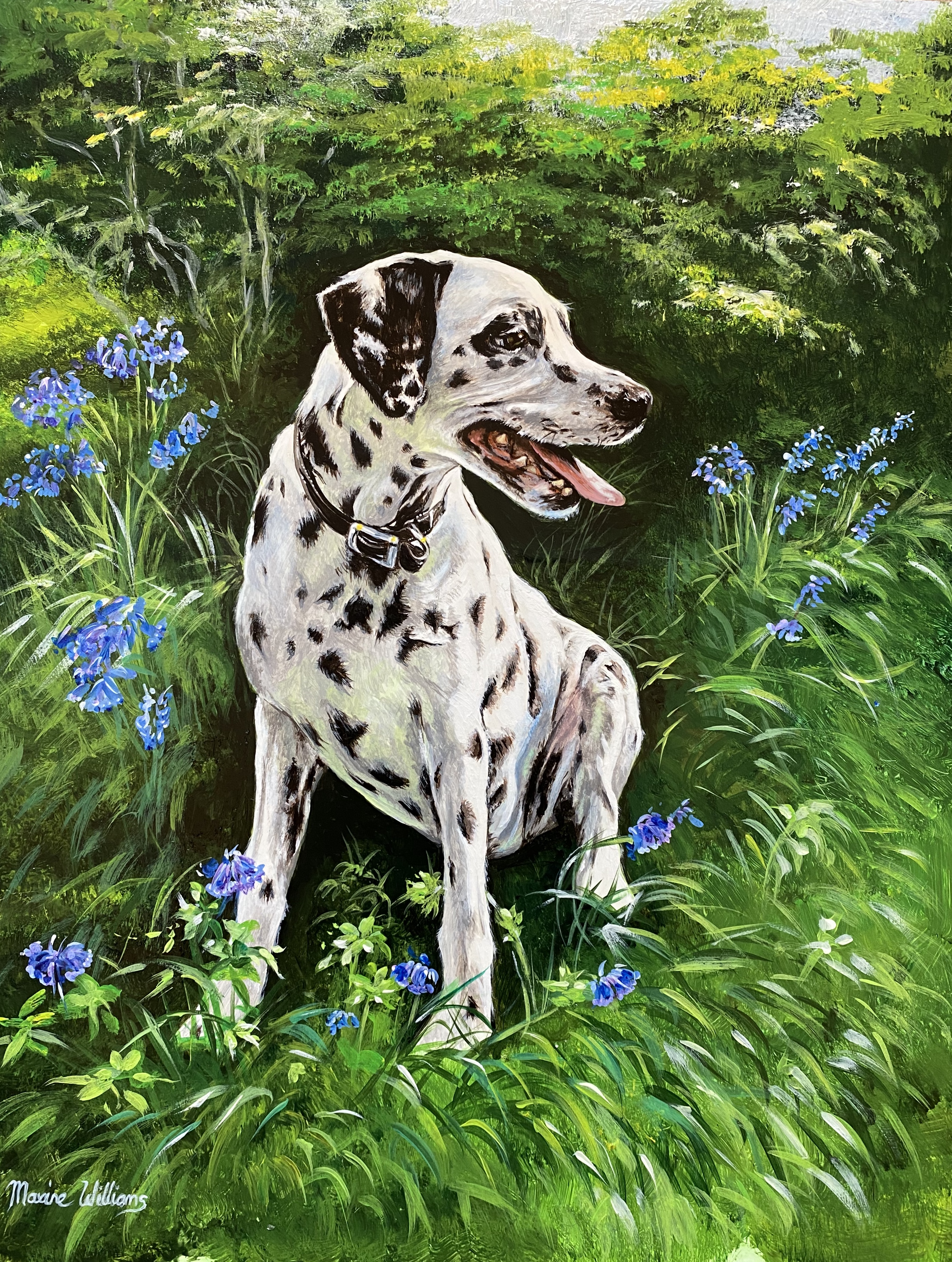 Daisy