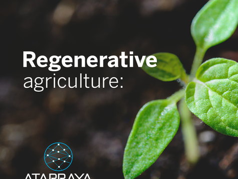 Regenerative agriculture: Biofloc as the Answer of Sea to Land Farming