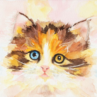 Pet - Watercolor Workshop