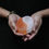 Thumbnail: Selenite Yin Yang Candle Holders