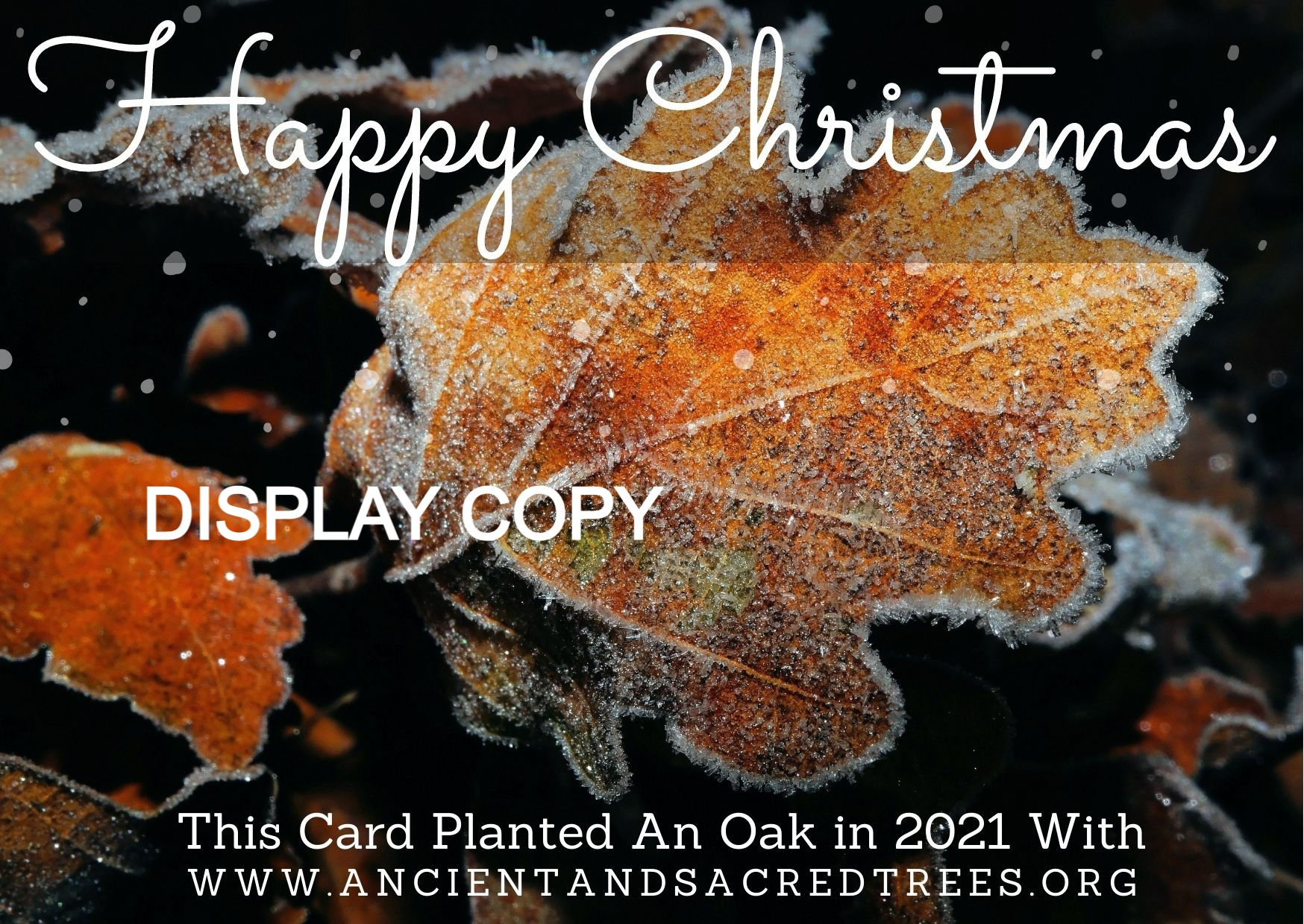 Plant an Oak in the UK with 3 Printable Christmas eCards