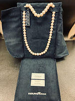 Diva Divine necklace.jpeg