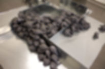 IMG_4909.jpeg