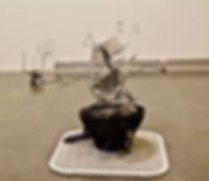 2019-05-07 19.51.03.jpeg