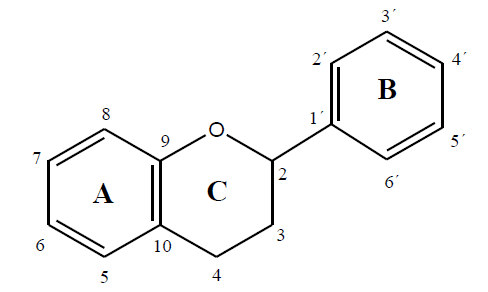 Estructura general Flavonoides.png
