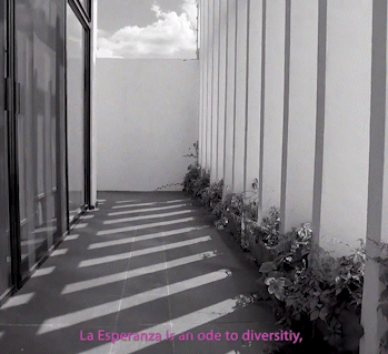 Esperanza2_AdobeExpress.gif