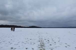 wide view of lines.JPG