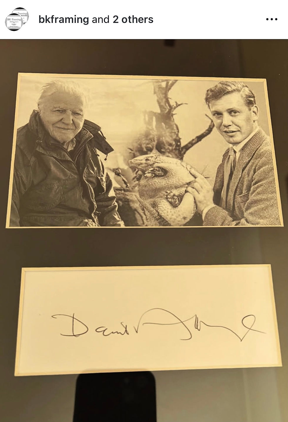 Thumbnail: Sir David Attenborough Signed Career Moments Montage