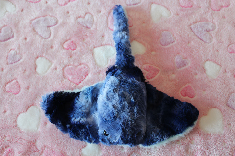 Thumbnail: Blue Ocean Stingray