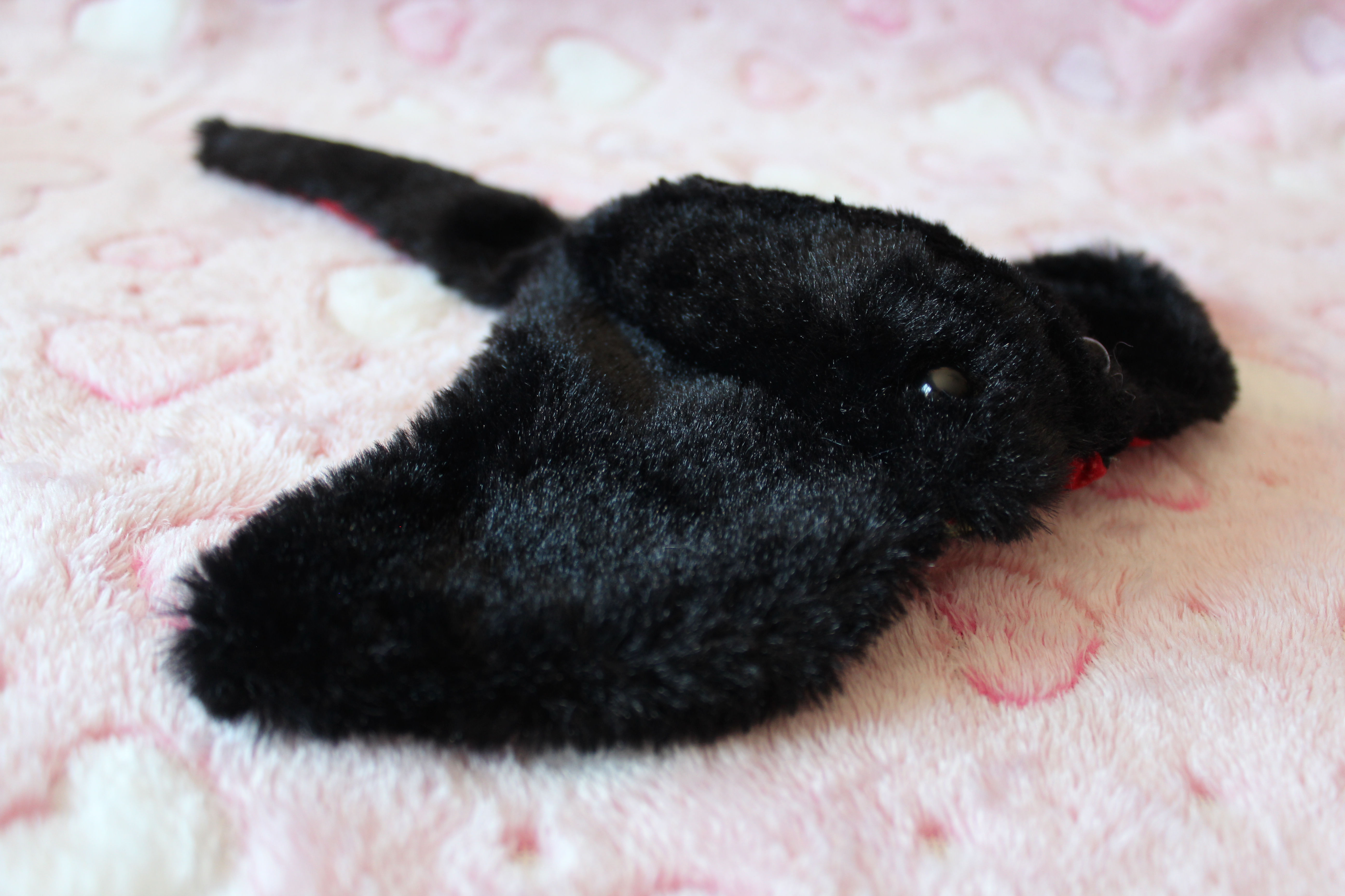 Black Strawberry Stingray