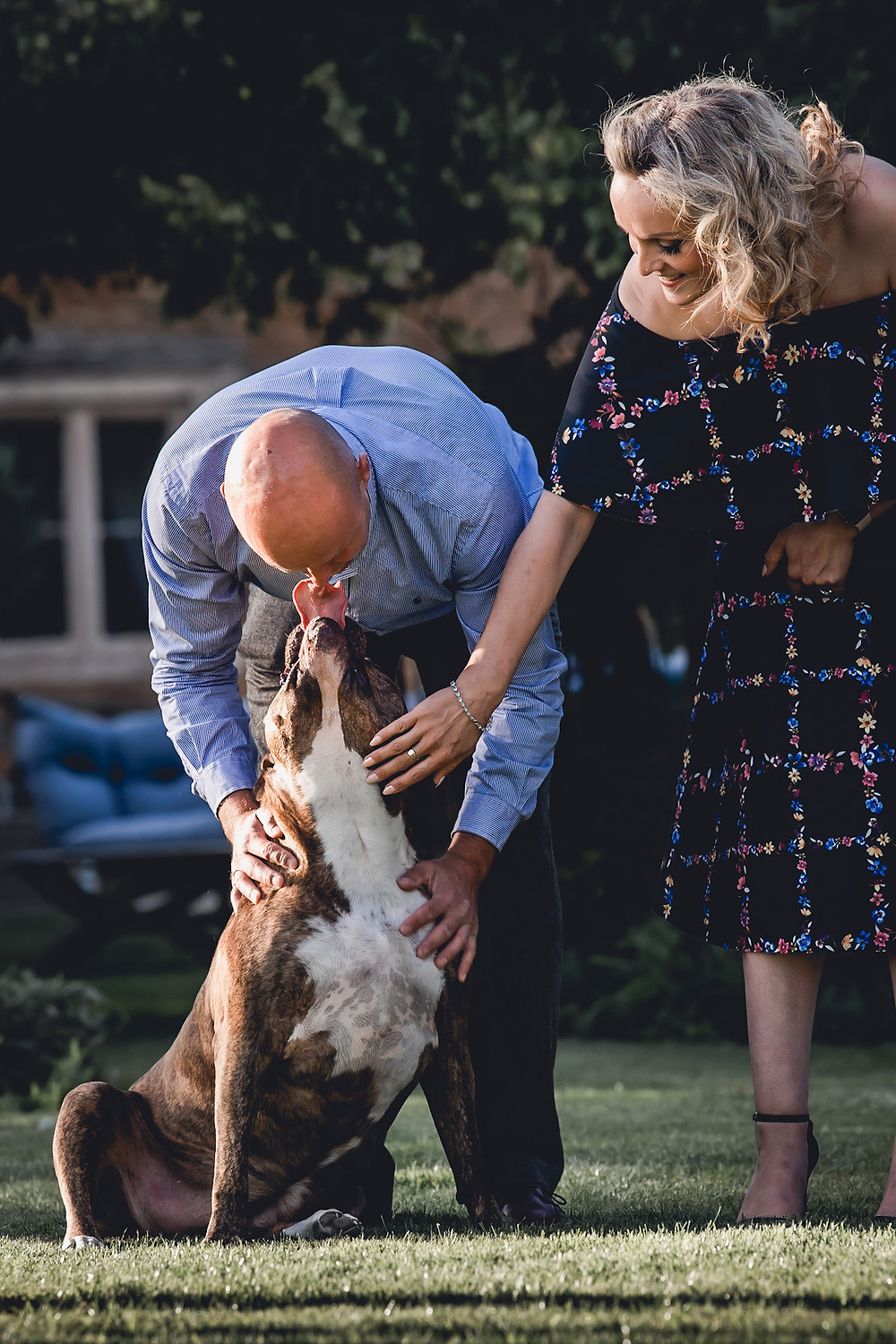 Dog Wedding Guest Grantham