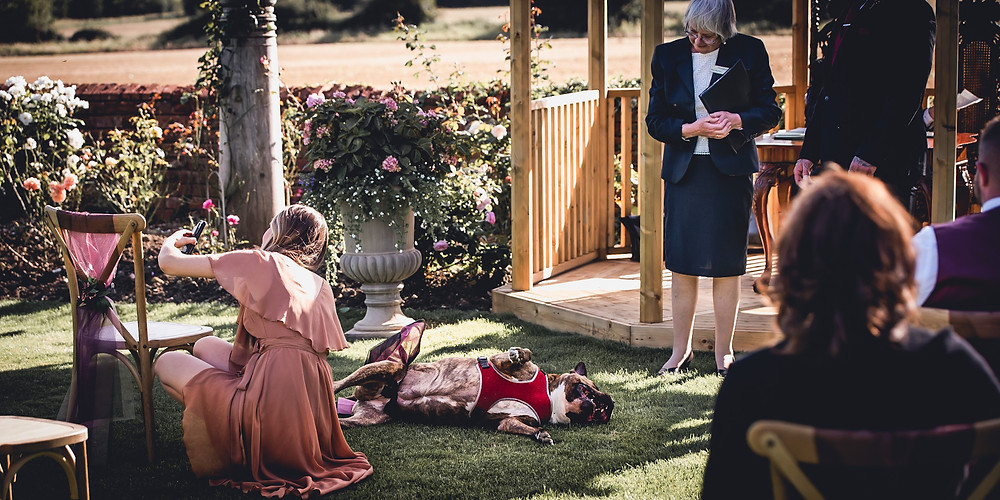 Dog at Wedding