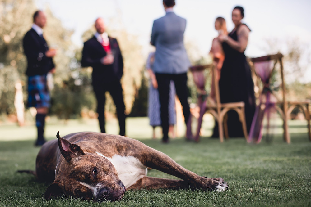 Weddings can be exhausting