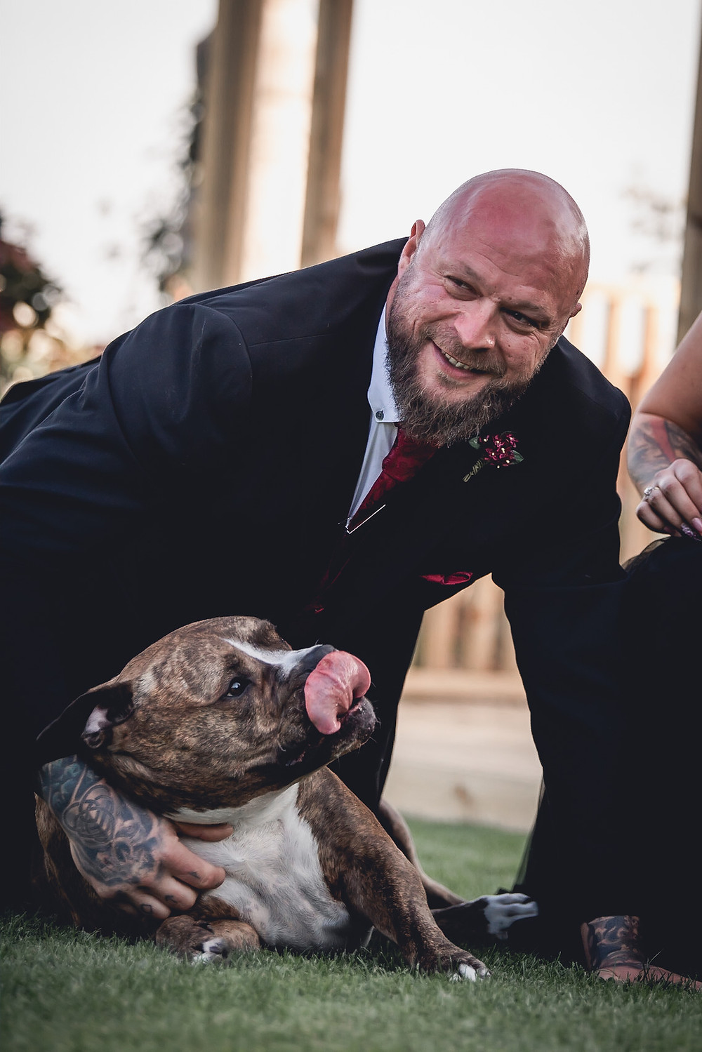 One Man and His Dog
