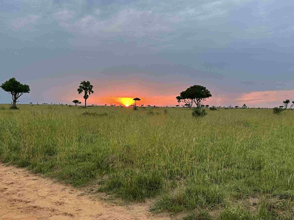 Uganda to Malawi,