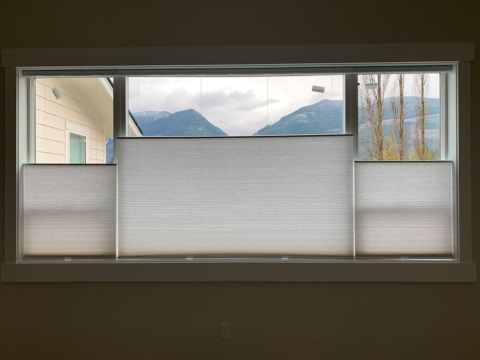 Three panel Cellular shades.