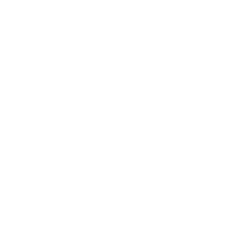 bluesky_media_kit_logo_transparent_white