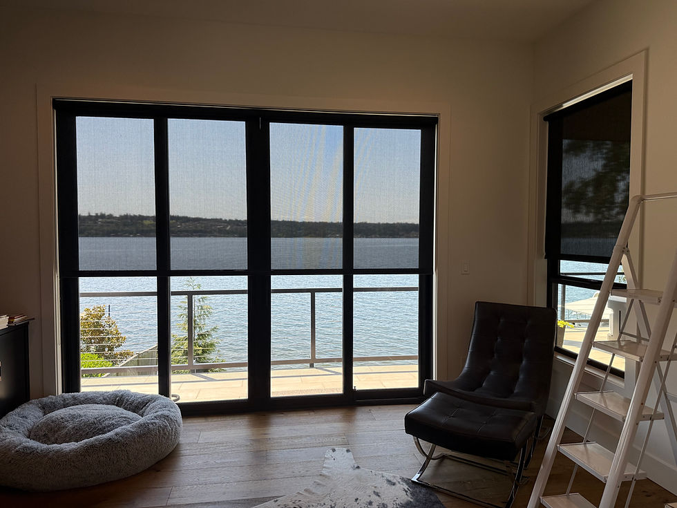 Lake Washington Project