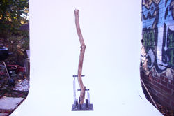 Tall Sculpture