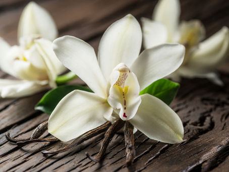 Can you reverse ageing?