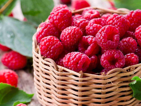 A basket filled with ripe, vibrant raspberries, ideal for healthy skin nutrition