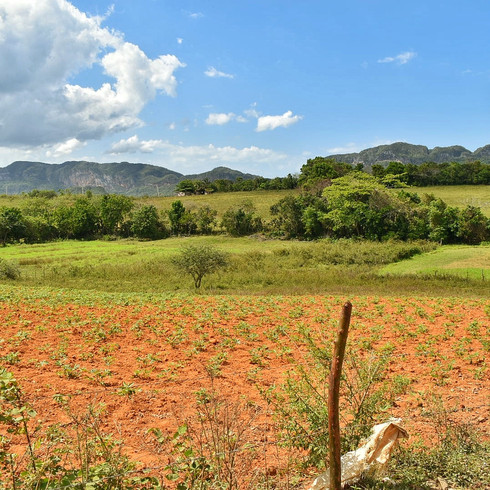 viñales