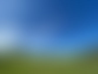 秋晴れ (^^♪ コスモス