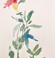 Shadow Flower