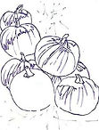 drawing of pumpkins by colette Pitcher
