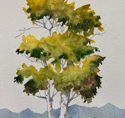 Summer Tree