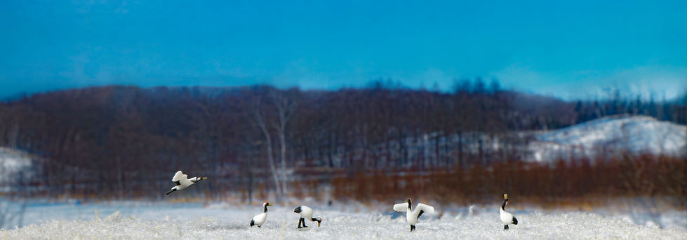 _02A8837 のコピー.jpg