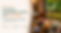 Banner site.png