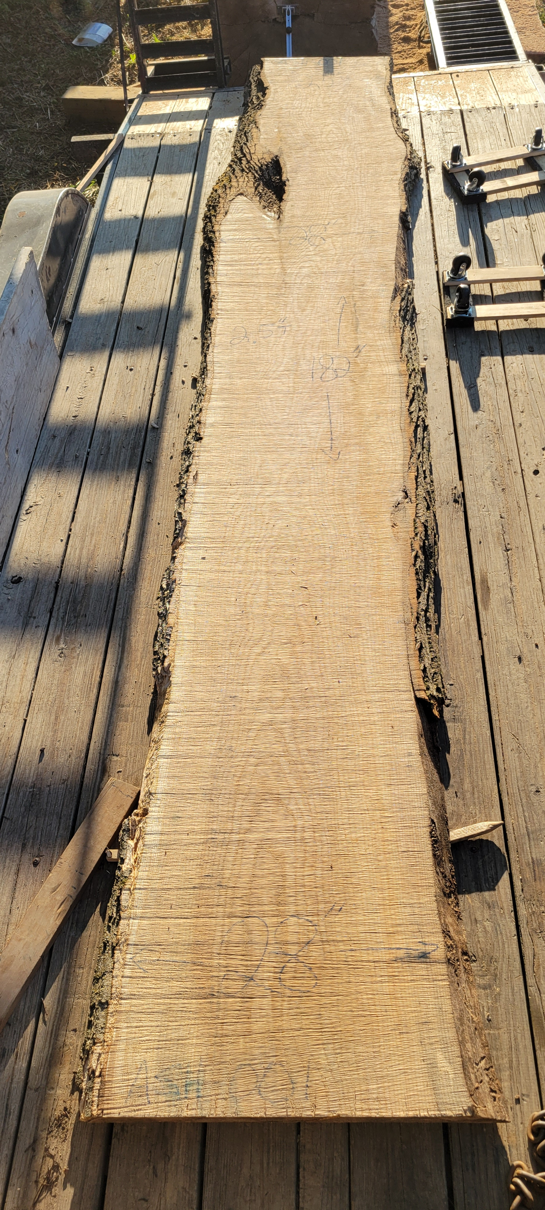 White Ash WA-001