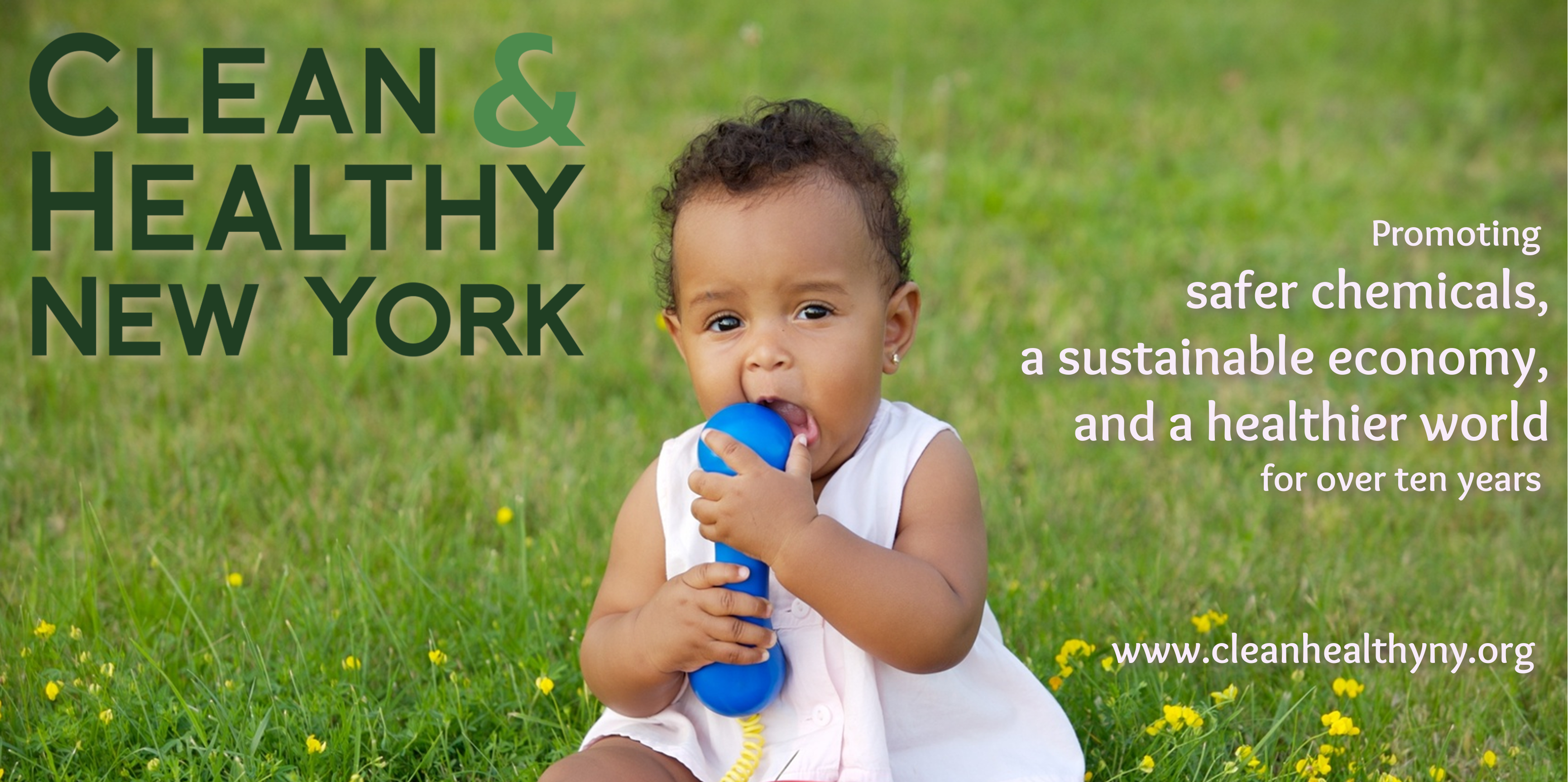 Clean and Healthy New York