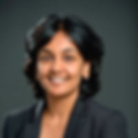 Sarayu Sharma Mitra, PMP.jpeg