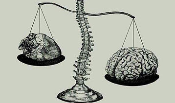 WhatsApp Image 2022-10-31 at 15.58.12.jpeg