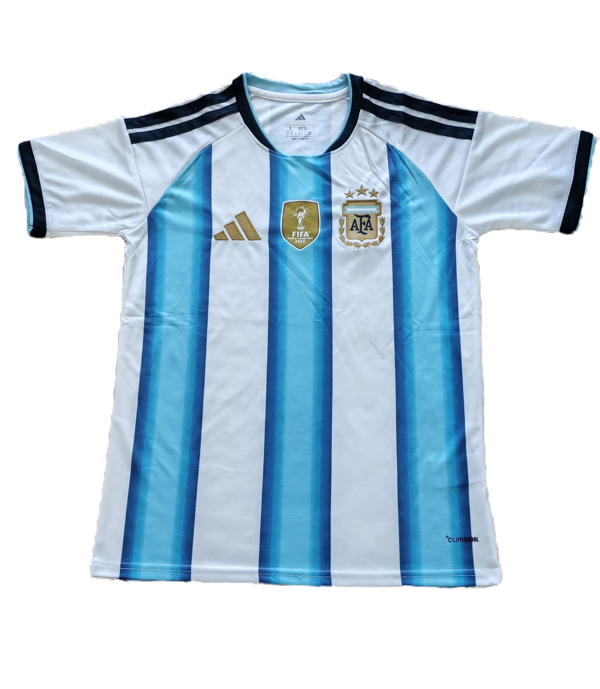 Argentina world cup 2022