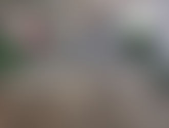 Appreciation for Dogs