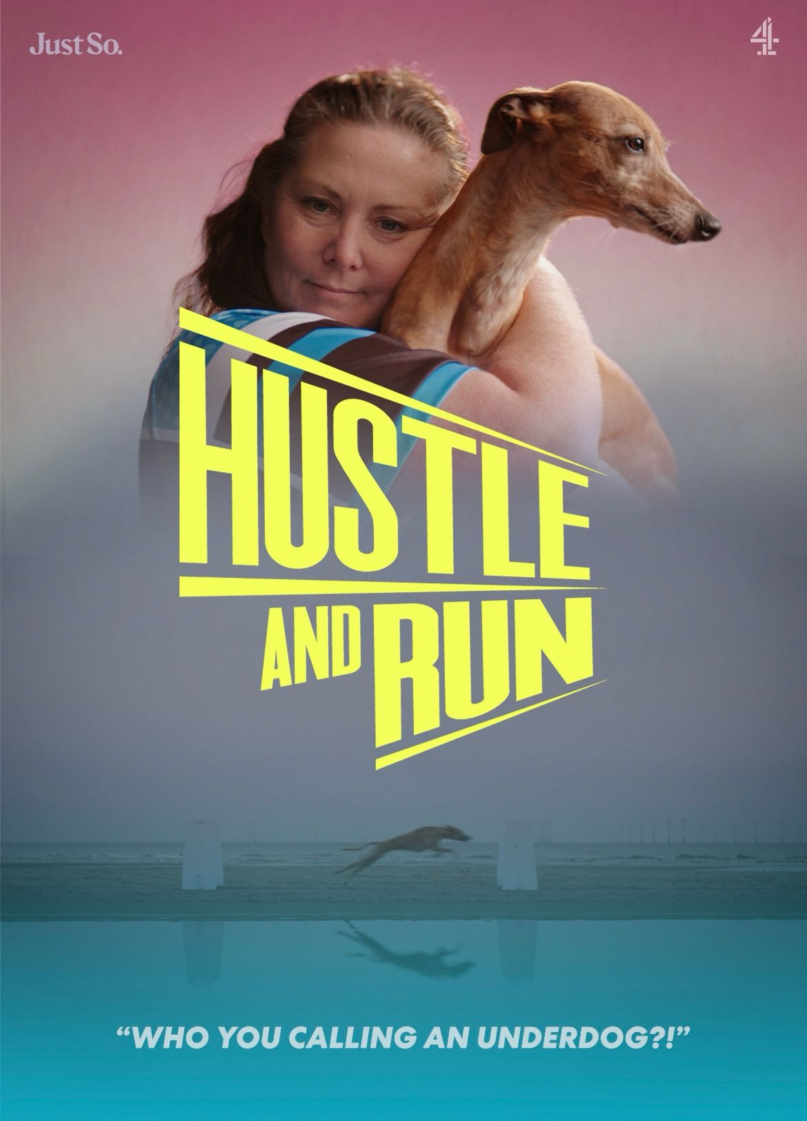 Writer: Aces High Flyball Team