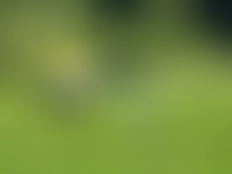 A golf club about to hit a golf ball.