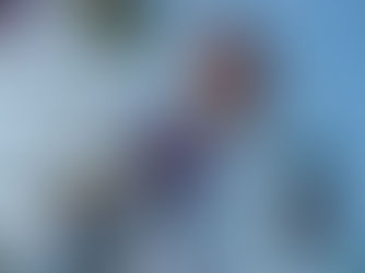 Photo of a ferris wheel at a country fair.