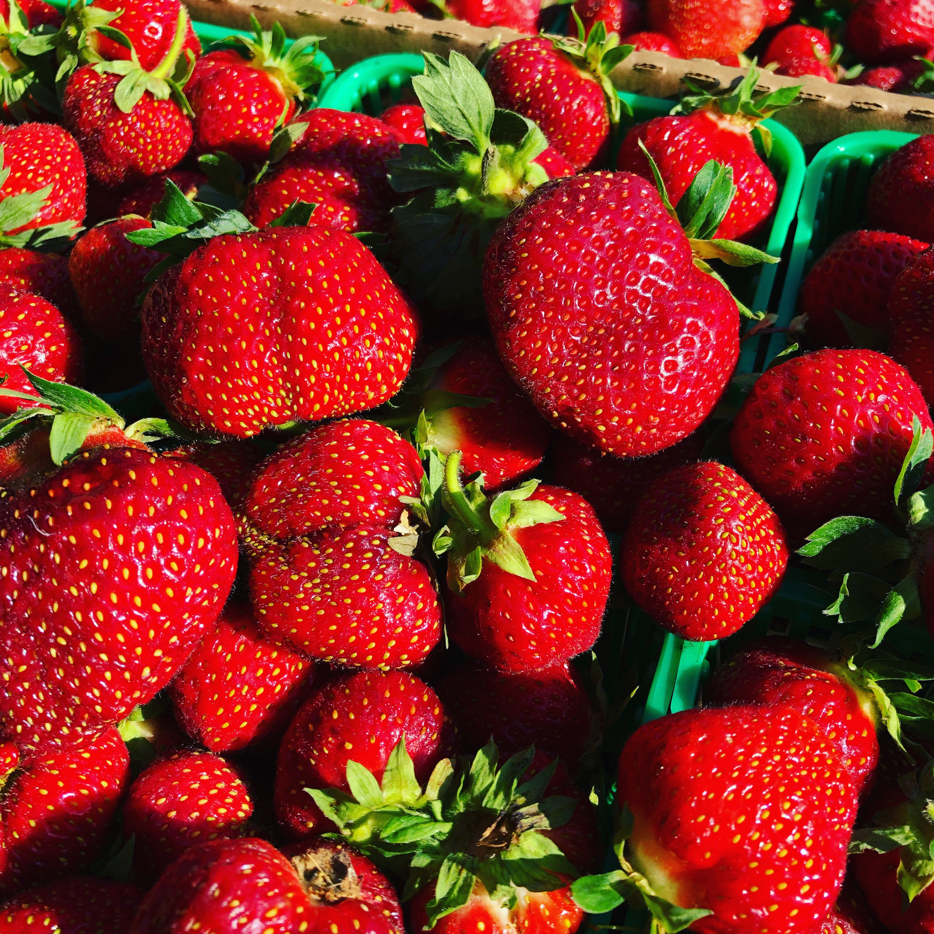 Strawberries Fresh/Lt