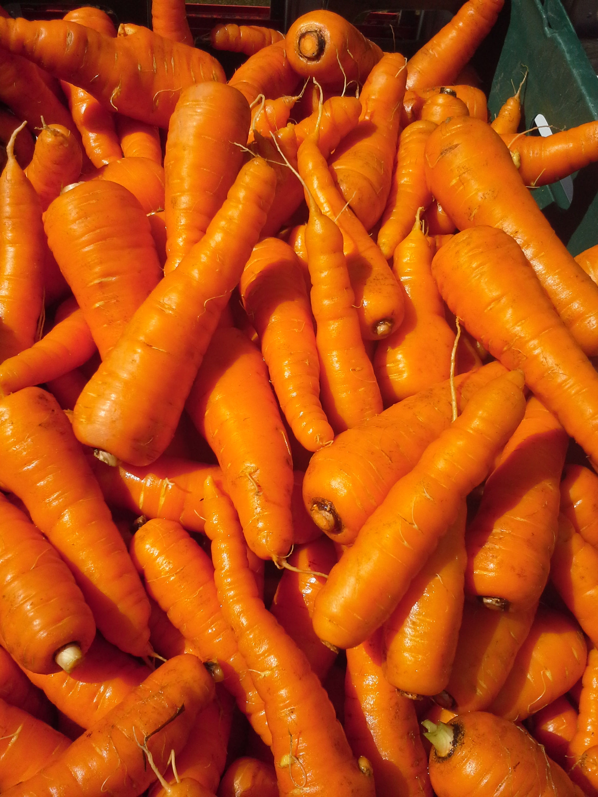 Carrots Orange/Lb (aprox 2LB/Bag)