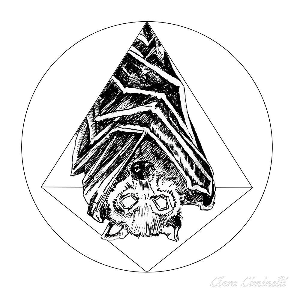 BATTIE WHITE LOGO-01