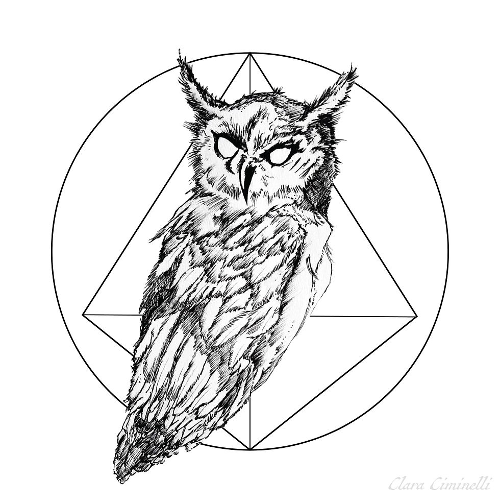 OWLIE JPEG-01