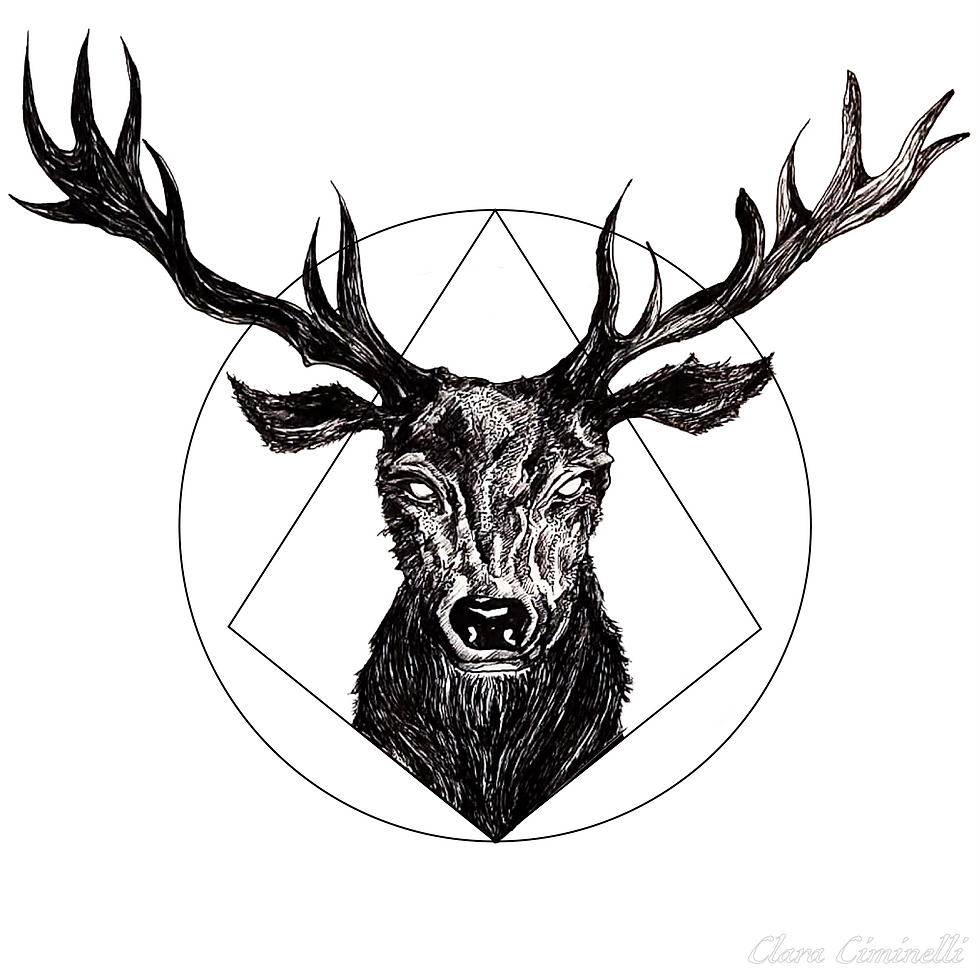 BUCKY LOGO-01