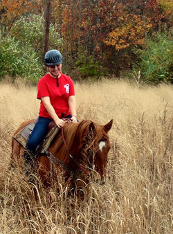 12122589_855824421205238_99336684798809959_n